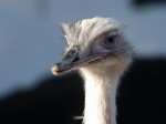 Zoo Chleby