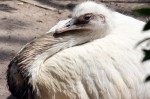 Zoo Chleby