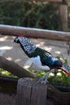 Zoo Chleby