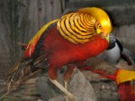 Zoo Chleby