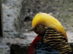 Zoo Chleby