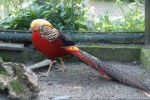 Zoo Chleby
