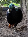 Zoo Chleby