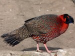 Zoo Chleby