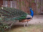 Zoo Chleby