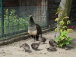 Zoo Chleby