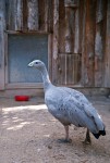 Zoo Chleby