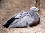 Zoo Chleby