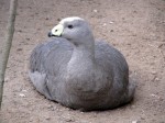 Zoo Chleby