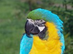 Zoo Chleby