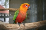 Zoo Chleby