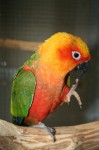 Zoo Chleby