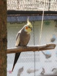 Zoo Chleby