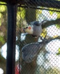 Zoo Chleby
