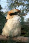 Zoo Chleby