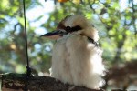 Zoo Chleby