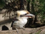 Zoo Chleby