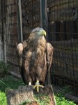 Zoo Chleby