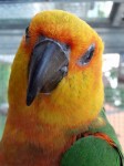 Zoo Chleby