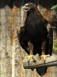 Zoo Chleby
