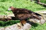 Zoo Chleby