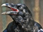 Zoo Chleby