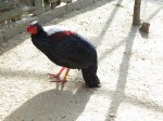 Zoo Chleby