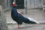 Zoo Chleby