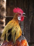 Zoo Chleby