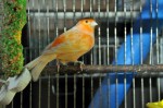 Zoo Chleby