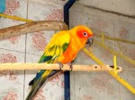 Zoo Chleby