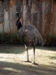 Zoo Chleby