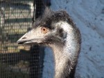 Zoo Chleby