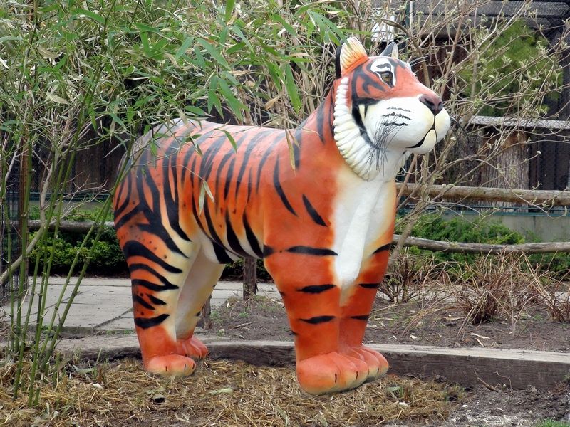 tygr balijský