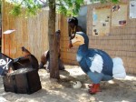 Zoo Chleby