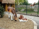 Zoo Chleby
