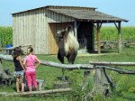 Zoo Chleby