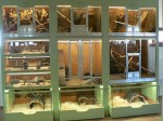 Zoo Chleby
