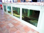 Zoo Chleby