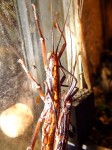 Zoo Chleby
