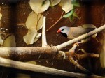 Zoo Chleby