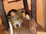 Zoo Chleby